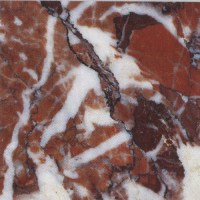 breccia-rounge-de-france8