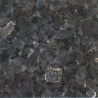 labrador-silver-pearl